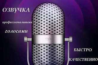 Озвучу профессиональным голосом Ваш ролик