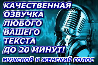 Качественная озвучка любого вашего текста до 20 минут. муж,жен голос