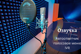 Озвучу автоответчик, голосовое меню, IVR женским голосом