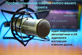 Профессионально озвучу любой ваш проект