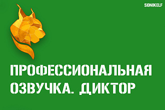 Профессионально озвучу видео, промо, презентацию, ролики Youtube