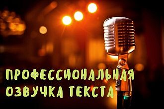 Озвучу текст