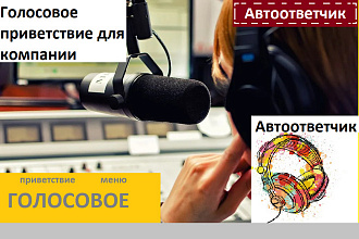 Диктор, озвучу автоответчик, голосовое приветствие, дозвон