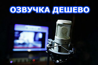 Озвучка книг женским голосом