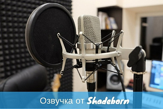 Профессиональная дикторская начитка и актерская озвучка
