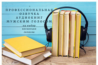 Профессионально озвучу аудиокнигу на русском языке мужским голосом