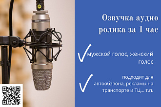 Озвучка аудиоролика 1 услуга за 1 минуту