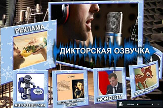 Дикторская озвучка