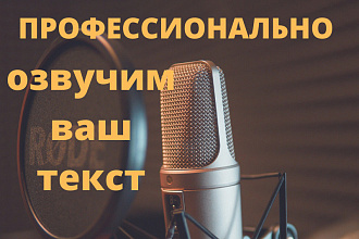 Профессиональная озвучка книг диктором. 500 руб. услуга 30 сек