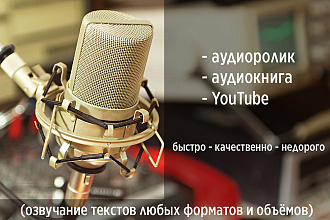Профессиональная дикторская озвучка