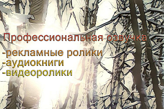 Озвучка Вашего текста