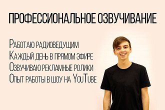 Профессиональное озвучивание