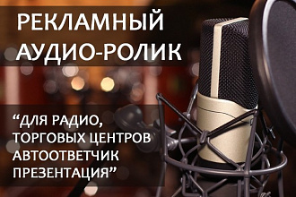 Профессиональная дикторская озвучка. Реклама, Презентация