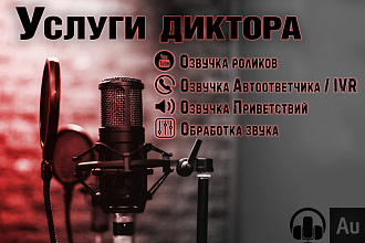 Диктор для ваших проектов