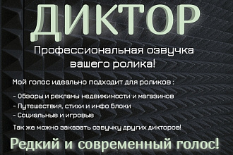 Озвучка для видео