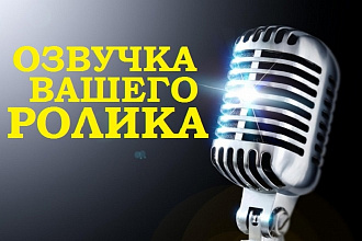 Профессиональная озвучка вашего ролика