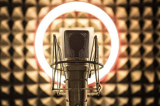 Озвучу Ваш текст