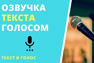 Качественная озвучка текста