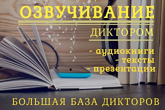 Профессиональная дикторская озвучка вашего текста