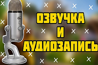 Озвучка любого текста на профессиональный микрофон за 30 минут