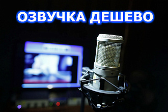 Озвучу любой текст