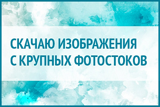 10 платных картинок с ShuterStock