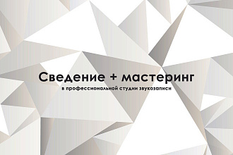 Сведем голос с минусом на профессиональной студии