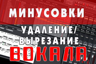 Удаление вокала. Сделаю минусовку, задавку. Вытащу голос из песни