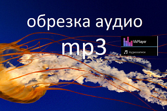Обрезка аудио в формате mp3