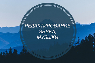 Отредактирую аудио так, как это нужно Вам