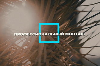 Смонтирую и обработаю видео