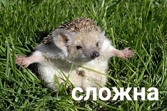 Смонтирую видеоряд