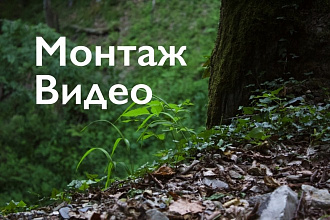 Смонтирую ролик, быстро и качественно