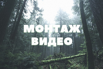 Смонтирую видео