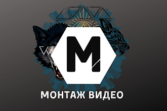 Смонтирую видео, сделаю вайн