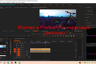 Хороший монтаж видео в Adobe Premier Pro
