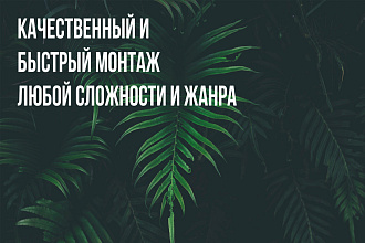 Сделаю монтаж видео любой сложности