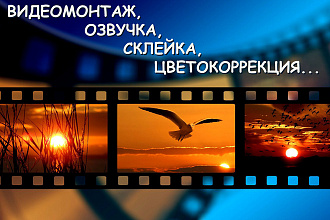 Видеомонтаж роликов, обработка, склейка, переходы, озвучка