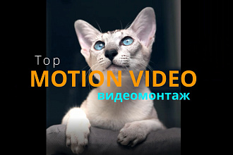 Видеомонтаж
