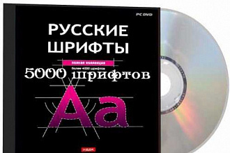 5000 Русских шрифтов на все случаи жизни