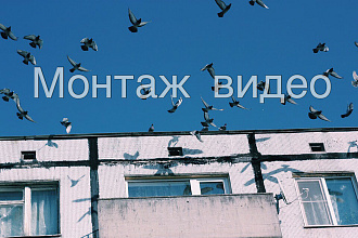 Специфичный монтаж видео