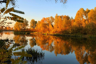 Фото еды, природы, раскладки мелких предметов