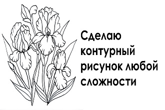 Сделаю контурный рисунок