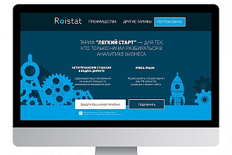 RoiStat. Интеграция с сайтом