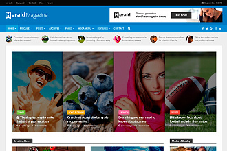 Универсальный премиум шаблон для WordPress