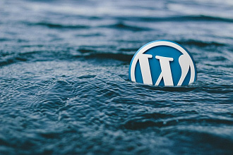 Топ 5 премиум шаблонов 2020 Wordpress