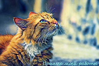 Нарисую арты