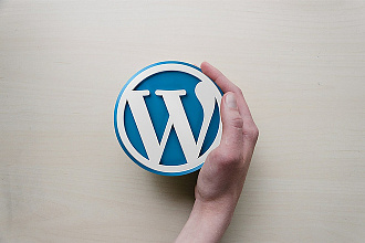 ТОП-6 премиум шаблонов WordPress для туризма