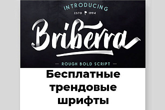 48 трендовых шрифтов для типографики в 2020