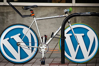 10 премиумных шаблонов WordPress для спортивных сайтов